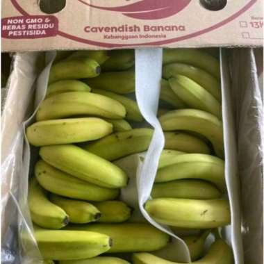 buah pisang sunpride fresh ukuran besar 1 dus 13 kg