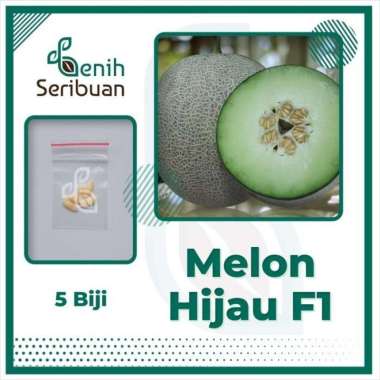 5 Benih Melon Hijau F1 Hibrida Melani Bibit Tanaman Buah Melon Putih