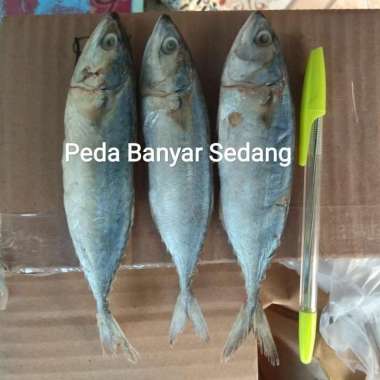 Ikan Asin Peda 1kg Murah Enak