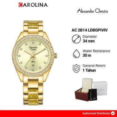 Jam Tangan Wanita Alexandre Christie Passion AC 2B14 LDBGPIVIV Gold