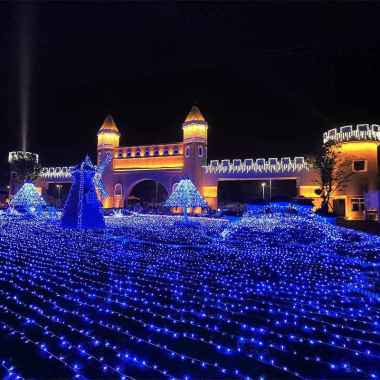 Lampu Hias Tumblr LED 10 Meter Colorful Warna Warni Tumblr Natal Anggur Bola Bulat Bintang + Free Co