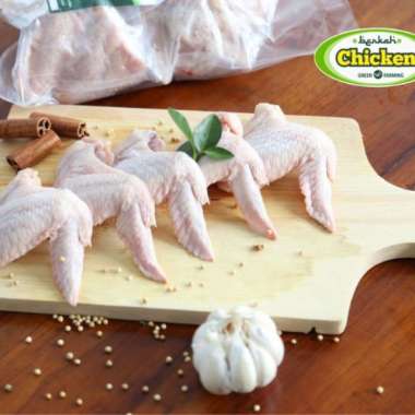 Ayam Probiotik Berkah Chicken Sayap Besar