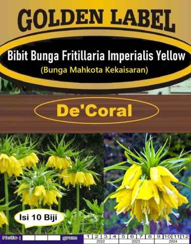 Bibit Bunga Fritillaria Imperialis Yellow | Bunga Mahkota Kekaisaran