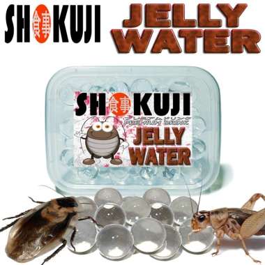 JELLY WATER AIR MINUM JANGKRIK KECOA DUBIA ULAT JERMAN HONGKONG PAKAN GECKO BEARDED DRAGON TOKEK BD