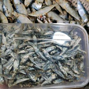 Ikan Tembang Asin Kering Fresh Frozen