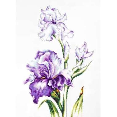Paket kristik / Asli Luca-s B2251 Irises Multivariasi Multicolor