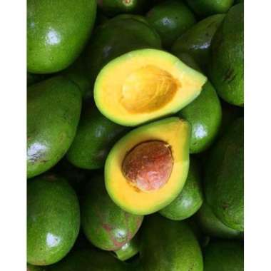 alpukat - 1 kg