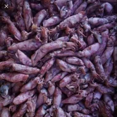 ikan asin sotong / cumi asin