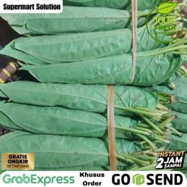 Daun sirih / Daun Sereuh Segar 1 ikat