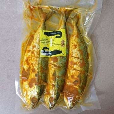 Ikan Kembung Banjar Bumbu Kuning 3 Ekor Praktis Tinggal Goreng Bakar Pepes Gulai dll