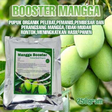 Pupuk Mangga Booster Organik Pelebat Pemanis Buah Mangga