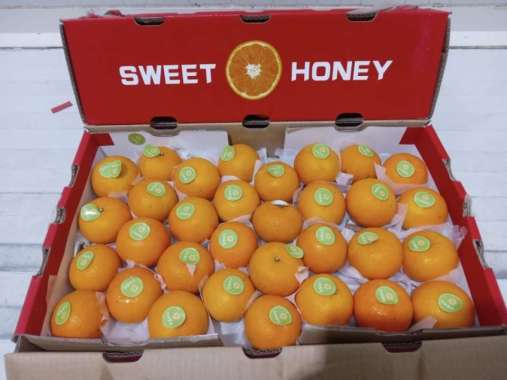 HasilSumberalaM Jeruk Honey Wokam Wogam Wogan Mandarin Orange 900 gr - 1 kg Sweet Red Honey