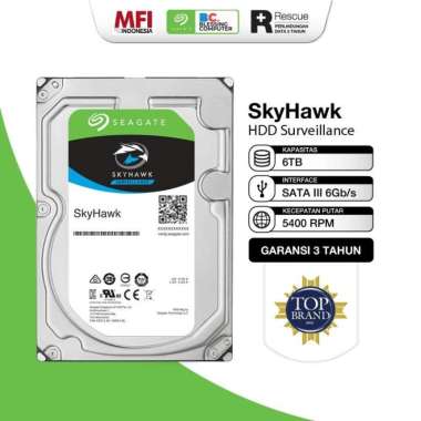 Hardisk CCTV Seagate skyhawk 6TB ST6000VX009