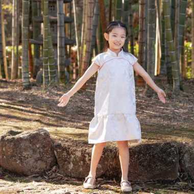 Pastel Kidswear Butterfly Pink Cheongsham Dress Anak Perempuan 3XL