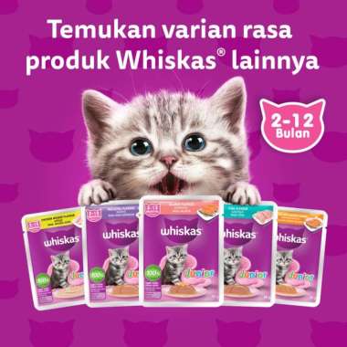 WHISKAS SACHET | WHISKAS POUCH MURAH Junior Tuna