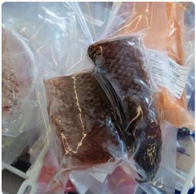 Ikan gabus fillet frozen 200gram