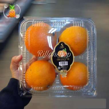 Buah Jeruk Aiyuan Jelly Fresh Manis