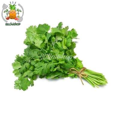 Daun Wansui/Coriander/Cilantro/Daun Ketumbar 100 Gram