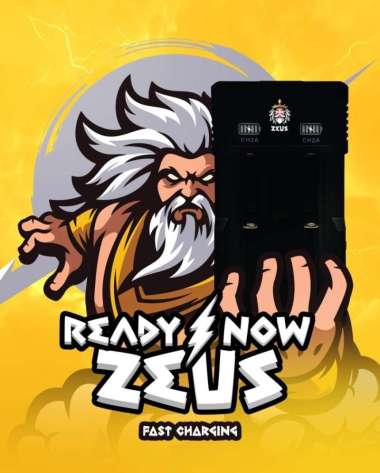 ZEUS 2 SLOT CHARGER TYPE C PORT