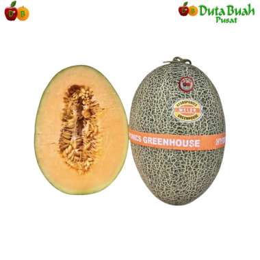 Duta Buah Melon Midori ±700g-1000g