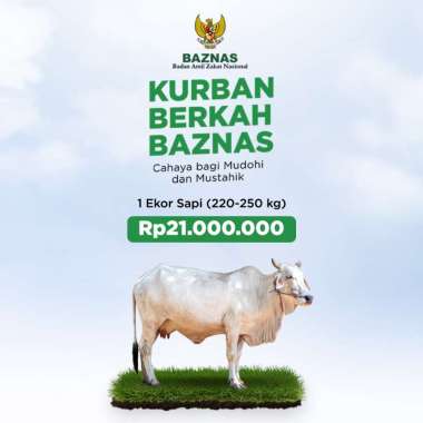 BAZNAS - QURBAN SAPI