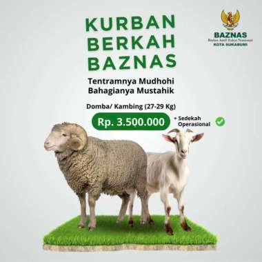 KURBAN DOMBA/KAMBING (27-29 KG)