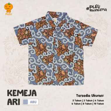 PLEU Kemeja Batik Ari | Kemeja Batik Anak Laki Laki Usia 2-8 Tahun 6 tahun Abu-abu