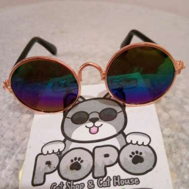 kacamata korea hewan kucing anjing