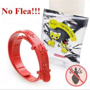 Kalung Anti Kutu Kucing Anjing Kelinci NO FLEA Cat Flea Import 80 - Merah