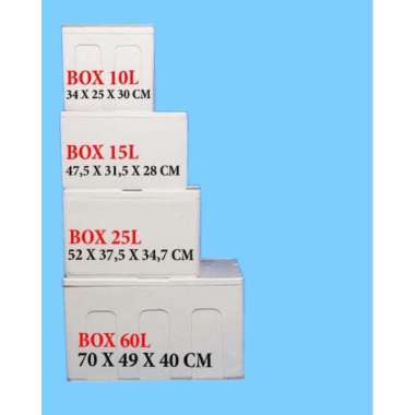 Styrofoam Box/ Kotak Sterofom / Box Es/ Box Gabus Serbaguna 5 L