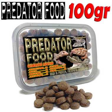 250GR MAKANAN PREDATOR FOOD PELET DIET PAKAN REPTILE VARANUS SALVATOR ALBIGULARIS PANANA TEGU FIRE S