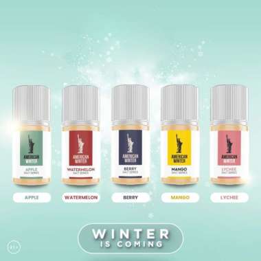 american winter saltnic 30ml strawberry