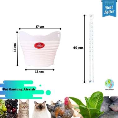 (1 pcs) Pot Gantung Tanaman Hias Alexish alexish 118