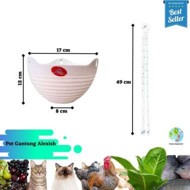 (1 pcs) Pot Gantung Tanaman Hias Alexish alexish 116