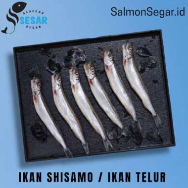 Shisamo Fish Ikan Shisamo Capelin - Ikan Telur