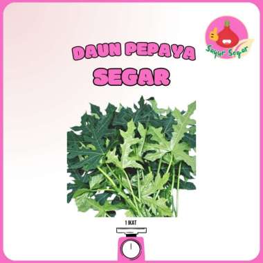Sayur Segar - Daun Pepaya Jepang / Papaya Leaves 1 Ikat