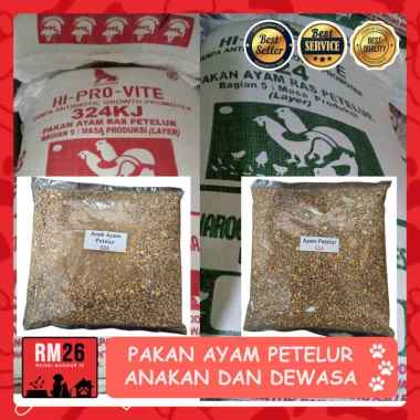 Pakan Ayam Petelur Anakan dan Dewasa 324kj anak ayam