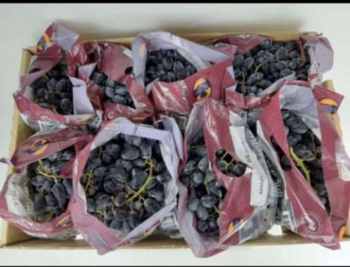 Buah anggur hitam autumn seedless fresh Import 1 box