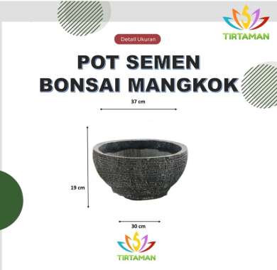 pot semen bonsai mangkok / pot estetik mangkok / pot beton mangkok [reguler termasuk palet] Kecil