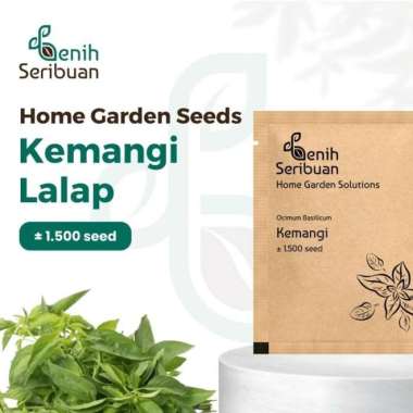 Bibit Kemangi - Benih Sayuran Seribuan Premium PREM KEMANGI