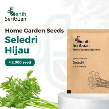 Bibit Seledri - Benih Sayuran Seribuan PREM SELEDRI