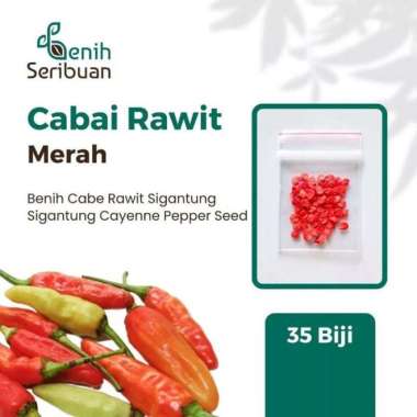 Benih Cabe Rawit Setan Cabai Merah Sigantung Bibit Sayuran 35 Biji