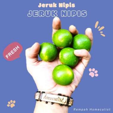 Jeruk Nipis 500gram Jeruk nipis segar