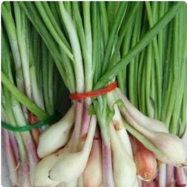 Bawang daun kecil 250gram