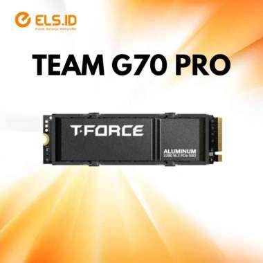Team T-Force G70 PRO with HeatSink SSD m.2 NVMe PCIe Gen4 1TB