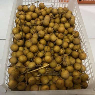 Buah lengkeng bangkok thailanda fresh Import 1 keranjang 6kg