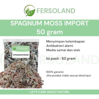 Spagnum moss 50gr | spaghnum moss media tanam organik | sphagnum moss orchid aglonema monstera anthu