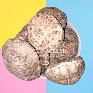 JAMUR SHITAKE HIOKO KERING 100gr | HIOKO SHITAKE DRIED MUSHROOM