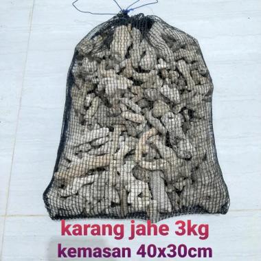 media filter kerang jahe karang jahe kemasan 3kg