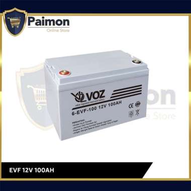Voz Aki EVF 12V 100 Ah - Baterai Aki EVF